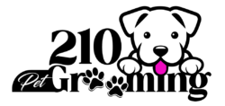210 Pet Grooming